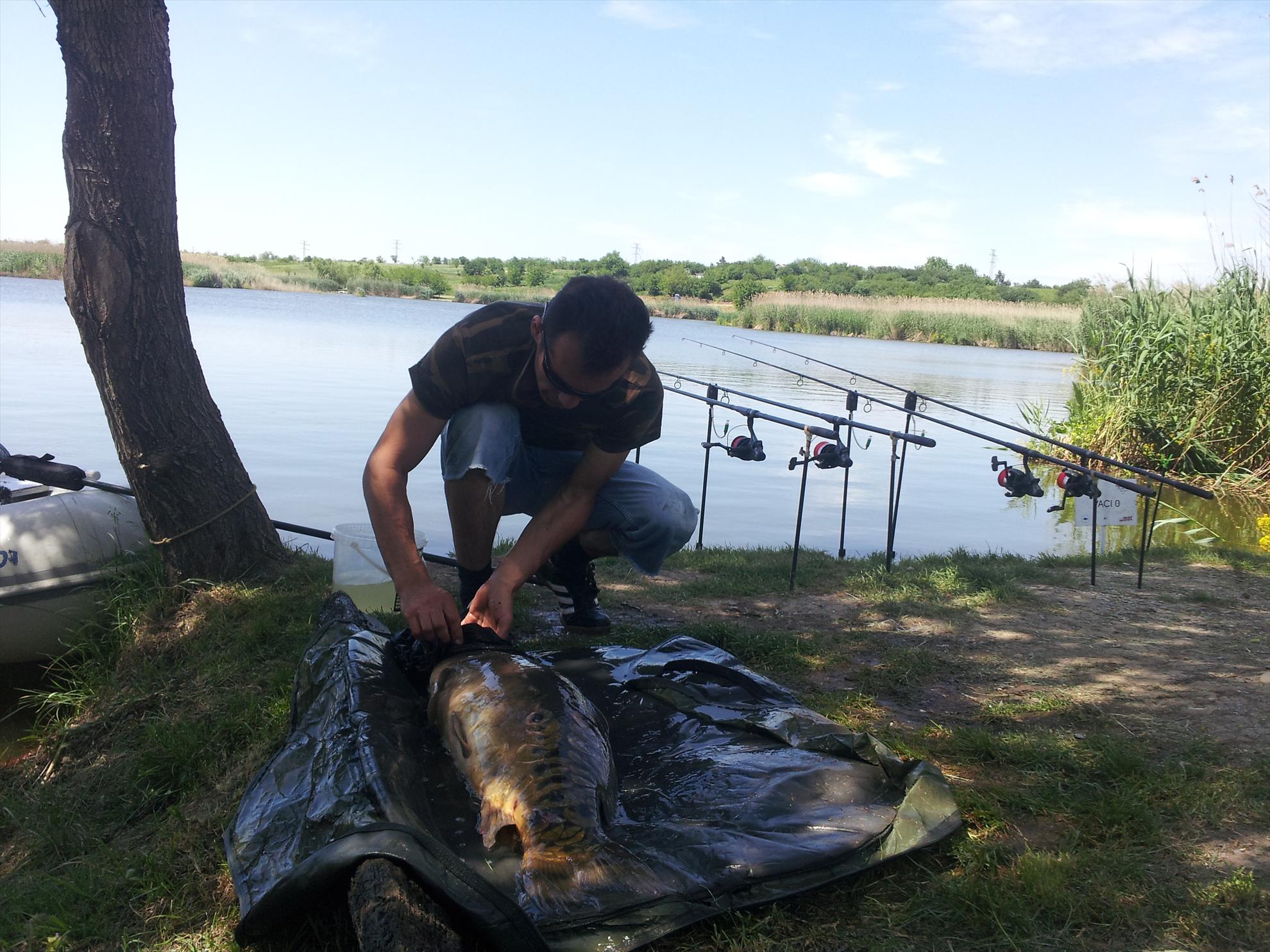 tancabesti 11-12'05''2013 - 20130512140940.jpg